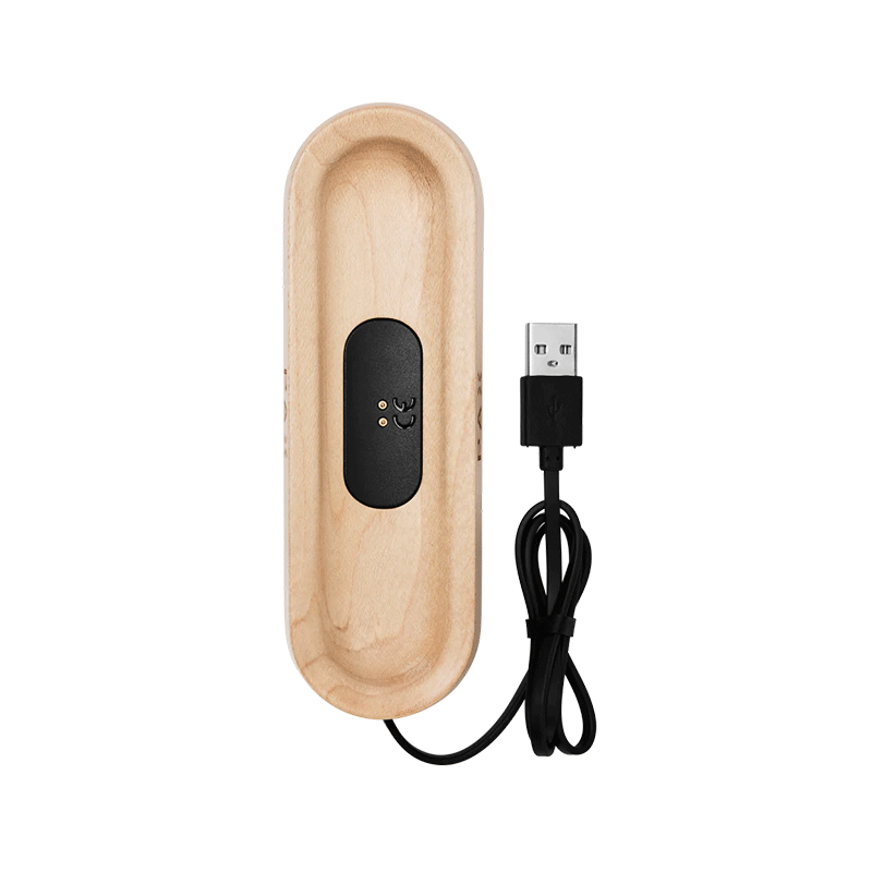 PAX Labs-Bandeja de carga