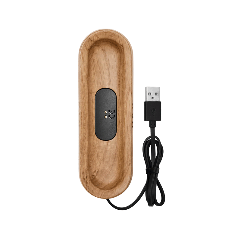 PAX Labs-Bandeja de carga